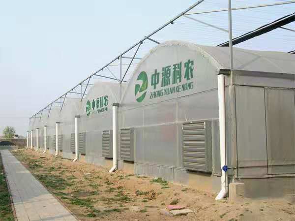 溫室公司