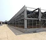 桐柏縣香菇扶貧基地