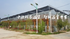 生態(tài)餐廳設(shè)計建造