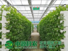 湖北鄭州無土栽培技術(shù)公司