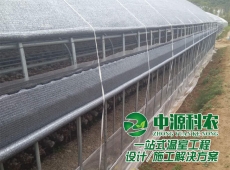 食用菌溫室大棚公司建設(shè)、溫室建造、大棚建設(shè)